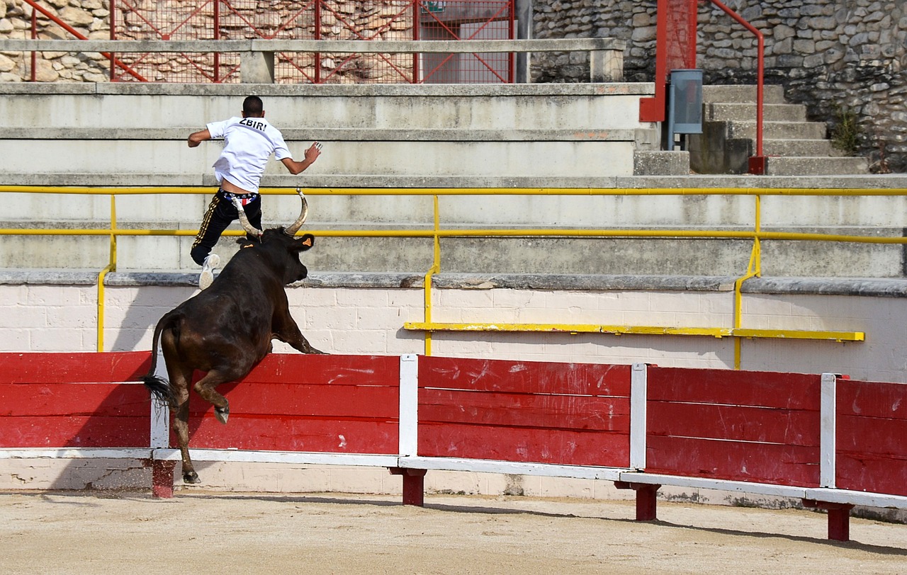 中国选手